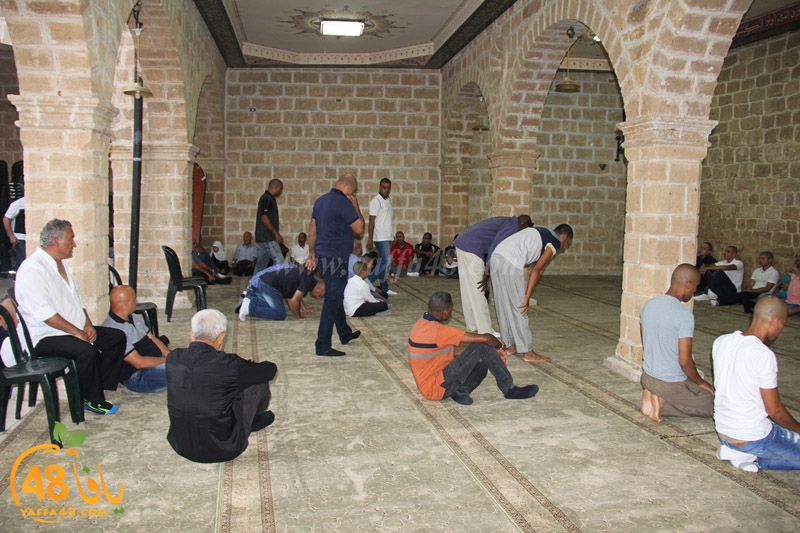 3ed ad7a mahmoudaia (8).JPG